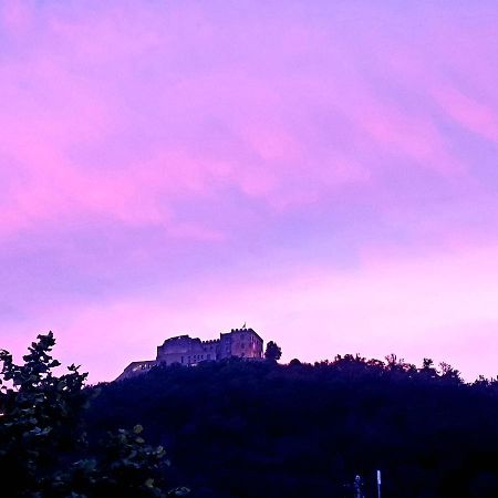 Gaestehaus Rebenhof Ξενοδοχείο Neustadt an der Weinstraße Εξωτερικό φωτογραφία