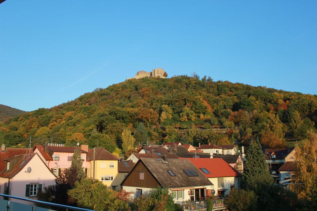 Gaestehaus Rebenhof Ξενοδοχείο Neustadt an der Weinstraße Εξωτερικό φωτογραφία